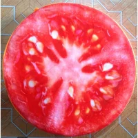 Tomato Slice Plush Cushion