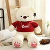 Plush Teddy Bear with Red Love Shirt