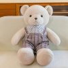Plush Teddy Bear with Outfit