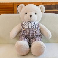 Plush Teddy Bear with Outfit