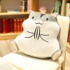 Square Chubby Cat Plush Pillow