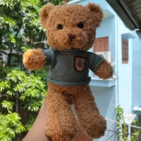 Teddy Bear with Sweater